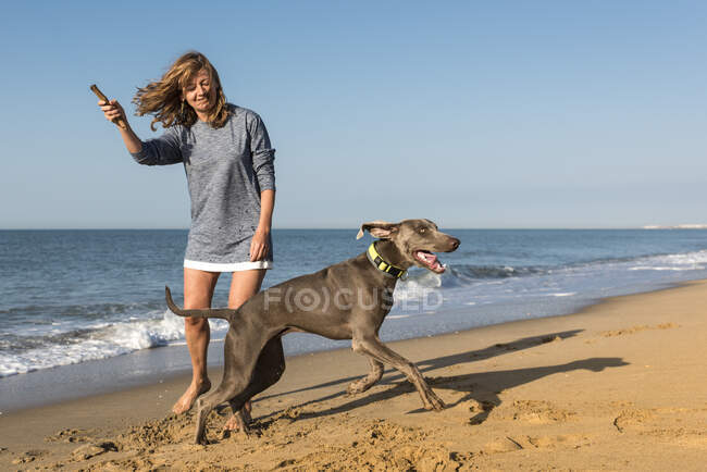 Mulher adulta brincando com cão na praia — Fotografia de Stock
