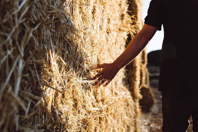 Земледельцы трогают стоги сена в солнечный день — стоковое фото