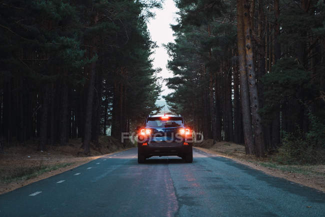Rückansicht eines schwarzen Autos, das auf der Straße im Wald fährt. — Stockfoto