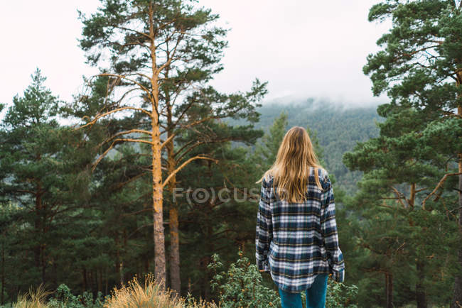 Visão traseira da menina eu xadrez camisa posando na floresta — Fotografia de Stock