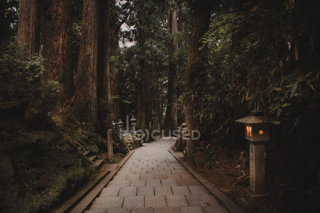 Walkway with small oriental lantern posts running down among trees on slope — Stock Photo