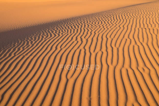 Vista de la textura de arena ondulada en la duna del desierto bajo la luz del sol . - foto de stock
