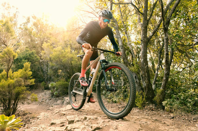 Man riding bicycle on path in forest — Stock Photo