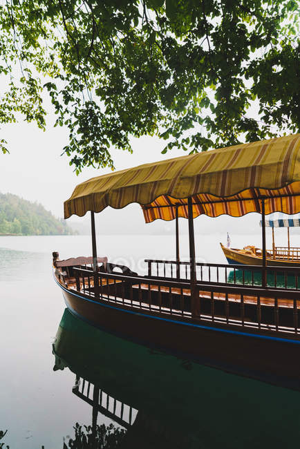 Вид сбоку на туристическую лодку с тентом, пришвартованную под деревом на берегу озера — стоковое фото