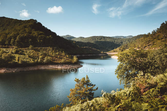 Paisaje de lago en prado de montaña soleado - foto de stock