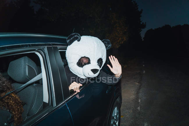Hombre en la máscara de cabeza panda inclinándose por la ventana del coche y dando cinco altos en la cámara - foto de stock