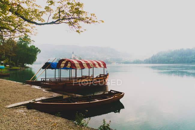 Barcos amarrados con dosel a orillas del lago - foto de stock