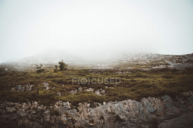 Paisaje brumoso de terreno rocoso con campo verde en espesa niebla . - foto de stock