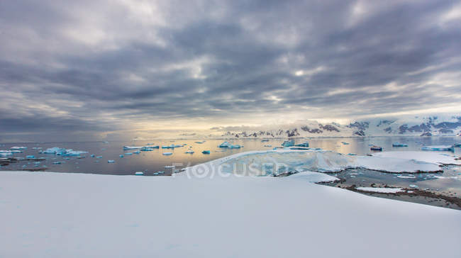 Панорамний вид Антарктиди дикої природи пейзаж — стокове фото