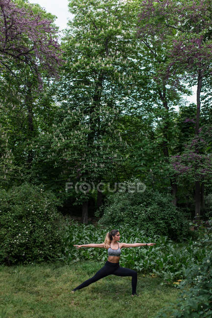 Спортивная женщина, занимающаяся йогой асаной в лесу в парке — стоковое фото
