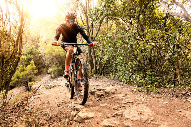 Вид спереди человека, катающегося на велосипеде в освещенном солнцем лесу — стоковое фото