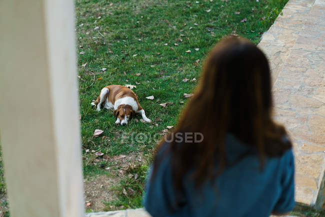 Visão traseira da mulher apoiada no corrimão e olhando para o cão deitado no gramado em casa . — Fotografia de Stock