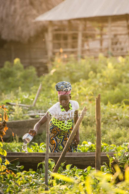 BENIN, AFRICA - AUGUST 31, 2017: African girl in colorful outfit watering plants in garden on background of house. — Stock Photo
