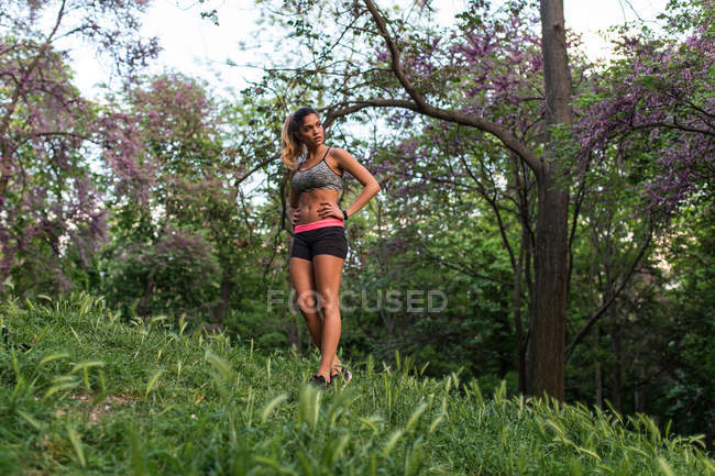 Спортивная девушка в спортивном костюме позирует на лужайке, глядя на лес. — стоковое фото
