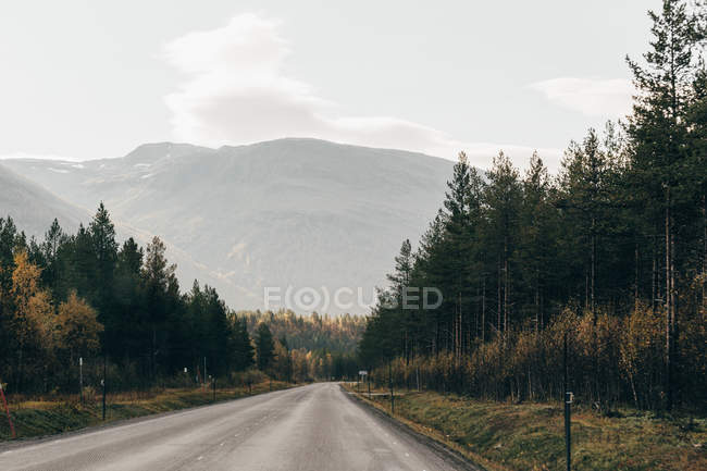 Route vide parmi la forêt d'automne dans les montagnes — Photo de stock