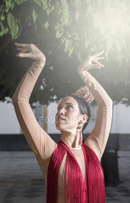 Портрет танцовщицы фламенко, позирующей над солнечными деревьями — стоковое фото