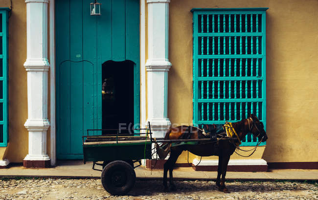 Side view of horse harnessed in small cart on background of mansion entrance. — Stock Photo
