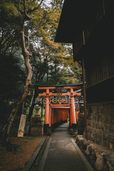 Belle vue sur ruelle avec rangée de portes Torii rouges au temple oriental . — Photo de stock