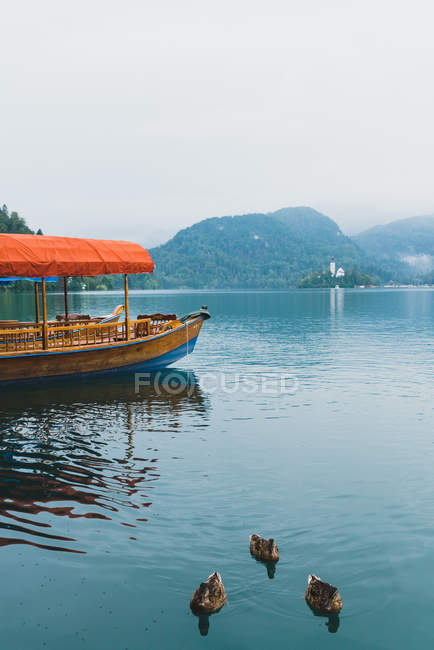 Anatre galleggianti sul lago con barche turistiche ormeggiate — Foto stock
