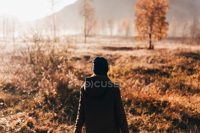 Vue arrière de la personne marchant sur le champ de campagne — Photo de stock