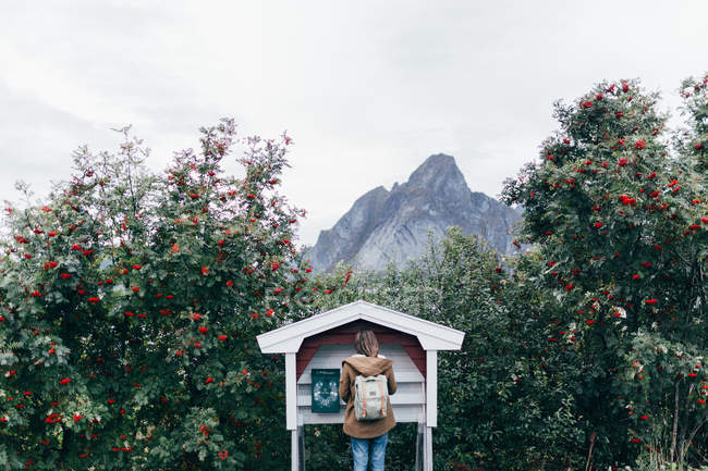 Visão traseira da mulher com mochila em pé perto da caixa de correio azul no fundo das montanhas — Fotografia de Stock