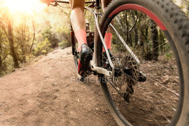 Low section of cyclist riding bicycle in forest on sunny day. — Stock Photo