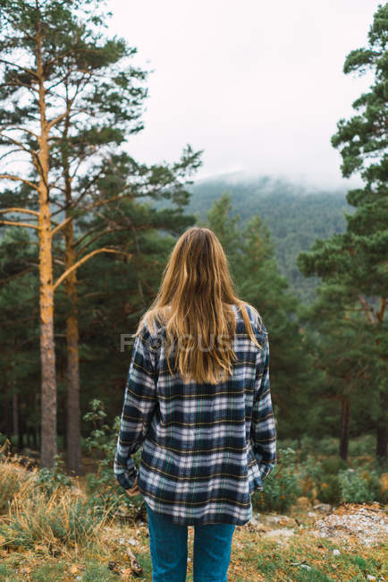 Rückansicht eines Mädchens mit kariertem Hemd, das im Wald posiert — Stockfoto