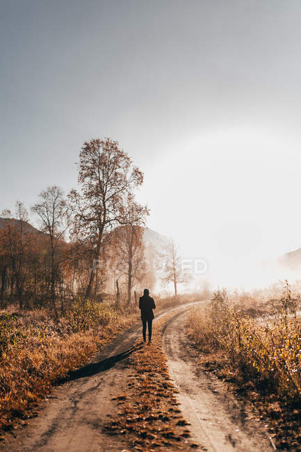 Rear view tourist walking on rural road in countryside woods — Stock Photo