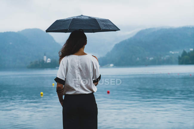 Vista trasera de la mujer posando con paraguas en la orilla del lago - foto de stock