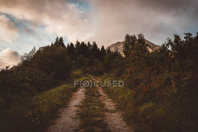 Landscape of rural road running up in mountains under clouds. — Stock Photo
