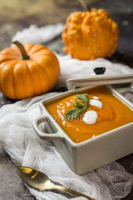 Still life of cream of pumpkin in bowl and pumpkins on white gauze — Stock Photo