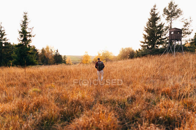 Rear view of backpacker walking on golden autumnal countryside field — Stock Photo
