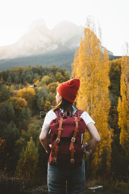 Vue arrière de la femme en chapeau rouge portant un sac à dos et marchant dans la nature — Photo de stock