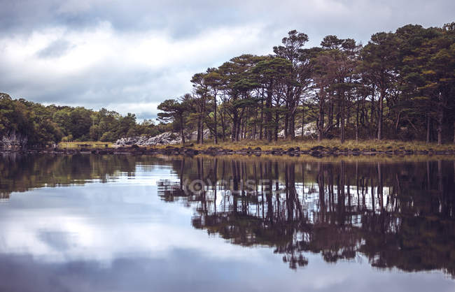 Grands arbres sur la rive d'un lac calme reflétant le ciel — Photo de stock