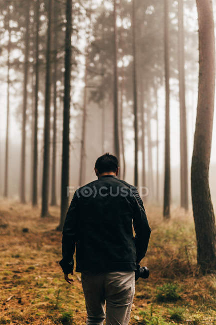Vista posteriore del viaggiatore che cammina in boschi nebbiosi scuri — Foto stock