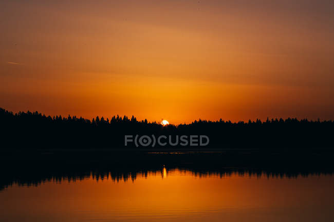 Cielo dorado al atardecer sobre los árboles en la orilla del lago tranquilo - foto de stock