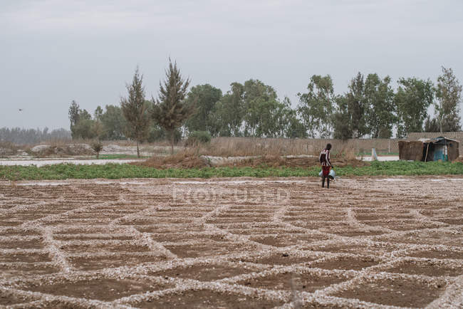 Вид сзади на человека, поливающего землю на поле
 . — стоковое фото