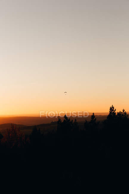Silhueta de pára-quedista acima das madeiras ao pôr-do-sol — Fotografia de Stock