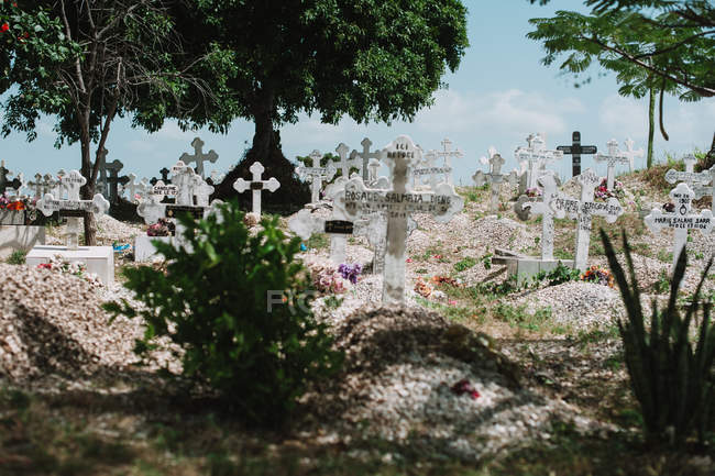 View to grave crosses on cemetery in sunny day. — Stock Photo