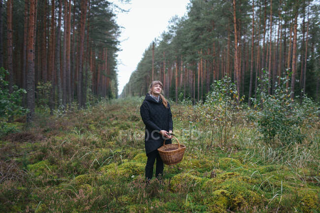 Woman collecting mushrooms in woods — Stock Photo