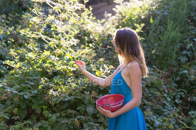 Side view of girl holding bowl and picking berries in backyard — Stock Photo
