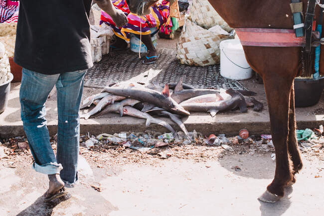 Peixe deitado na rua de pequena cidade africana perto de pessoa irreconhecível e cavalo. — Fotografia de Stock