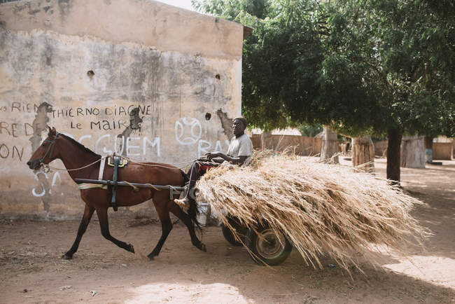 Goree, Senegal- December 6, 2017: Man riding cart with horse and carrying pile of straw on rural street. — Stock Photo