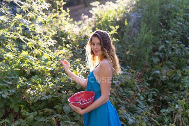Девушка собирает ягоды на заднем дворе и смотрит в камеру — стоковое фото
