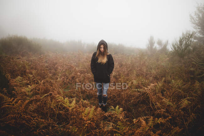 Young woman in black hood standing amidst dry ferns on foggy day. — Stock Photo