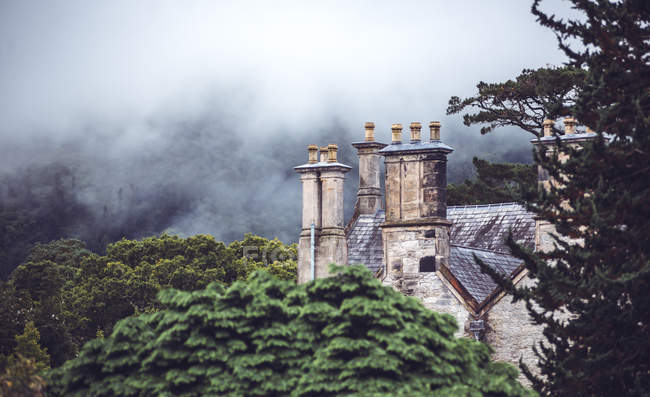Курильні димоходи будинку над туманними дерев'яними коронами — стокове фото
