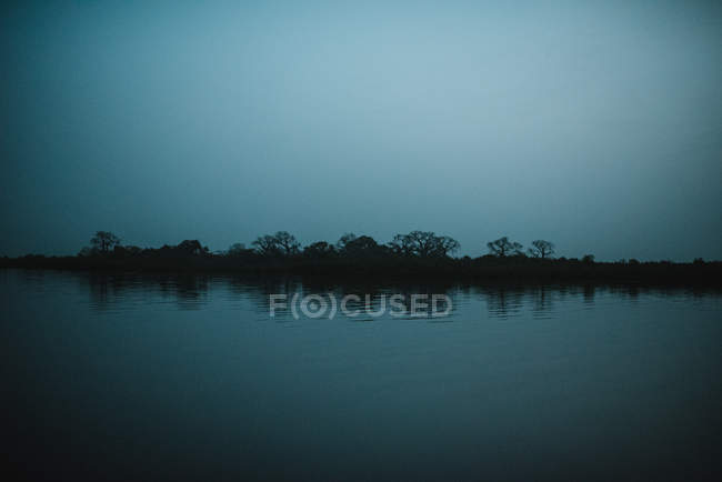 Landscape of black trees silhouettes on riverbank in dark twilight. — Stock Photo