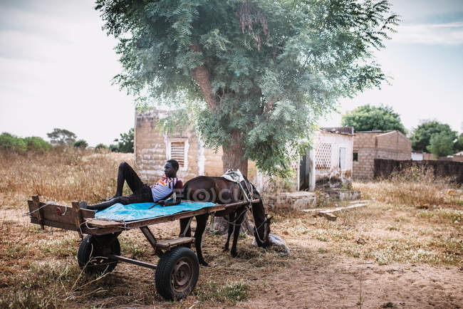 Goree, Senegal- December 6, 2017: African man lying on cart harnessed with horse in poor rural village. — Stock Photo