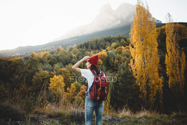 Vue arrière de la femme brune en chapeau marchant dans la nature — Photo de stock