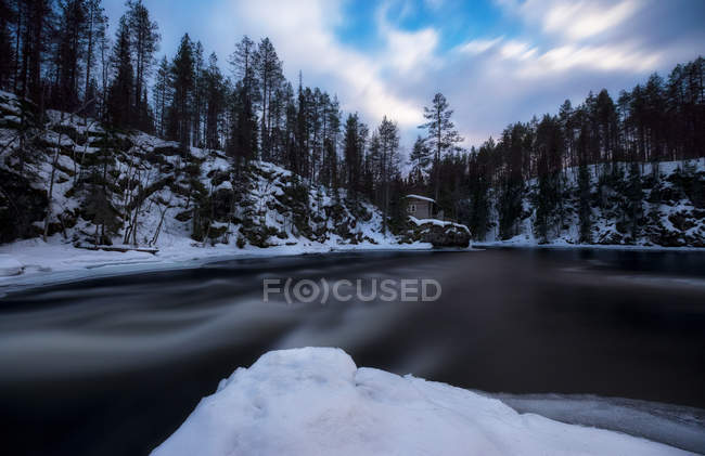 Scenic view to river flowing in winter forest in mountains. — Stock Photo